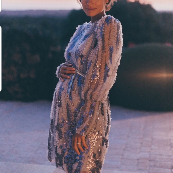 Zara limited edition sequin and tulled dress - Picture 5 of 8